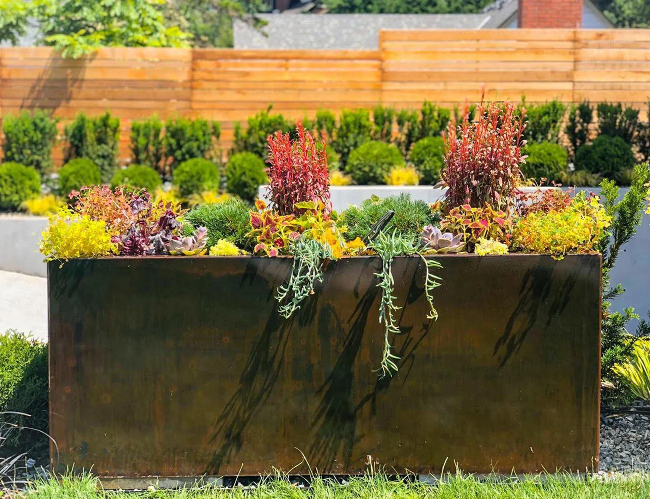 Garden planting from the Rooted in Landscape portfolio