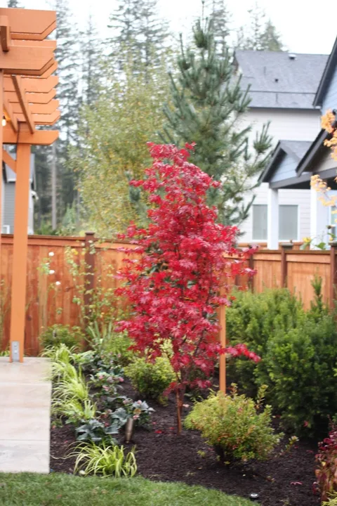 Landscape Design · Portfolio image 15
