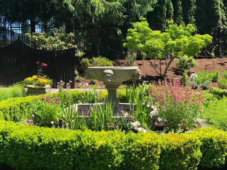 From the Rooted in Landscape garden portfolio