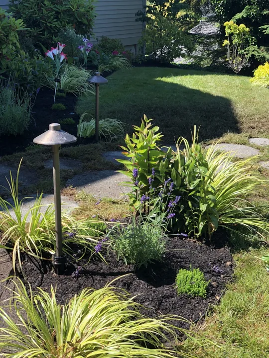Landscape Design · Portfolio image 30