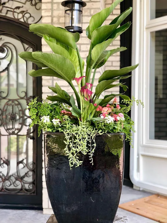 Container Design · Portfolio image 4