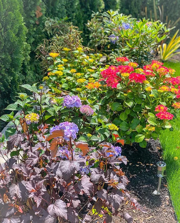 Landscape Design · Portfolio image 9