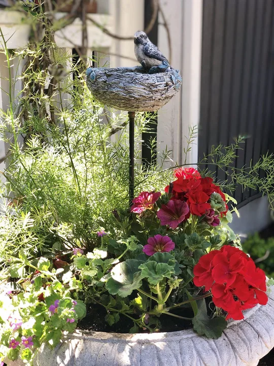 Landscape Design · Portfolio image 7