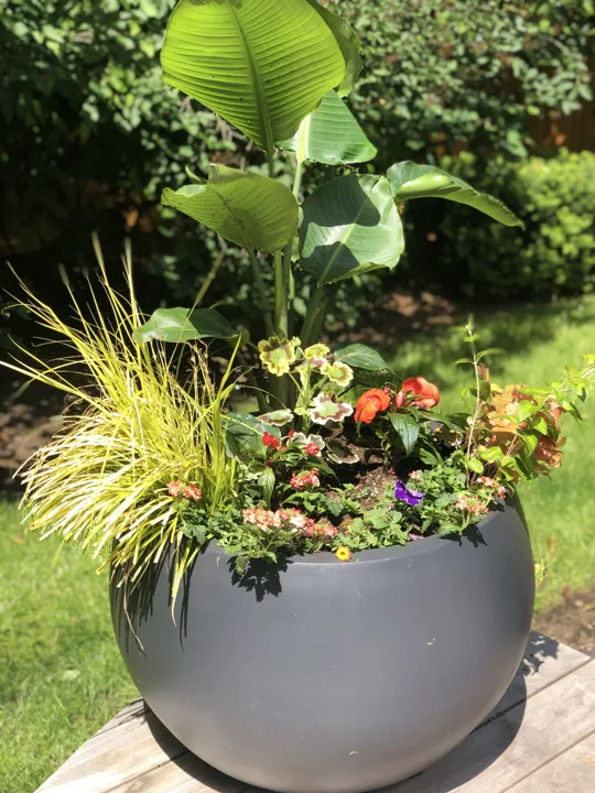 Container Design · Portfolio image 19