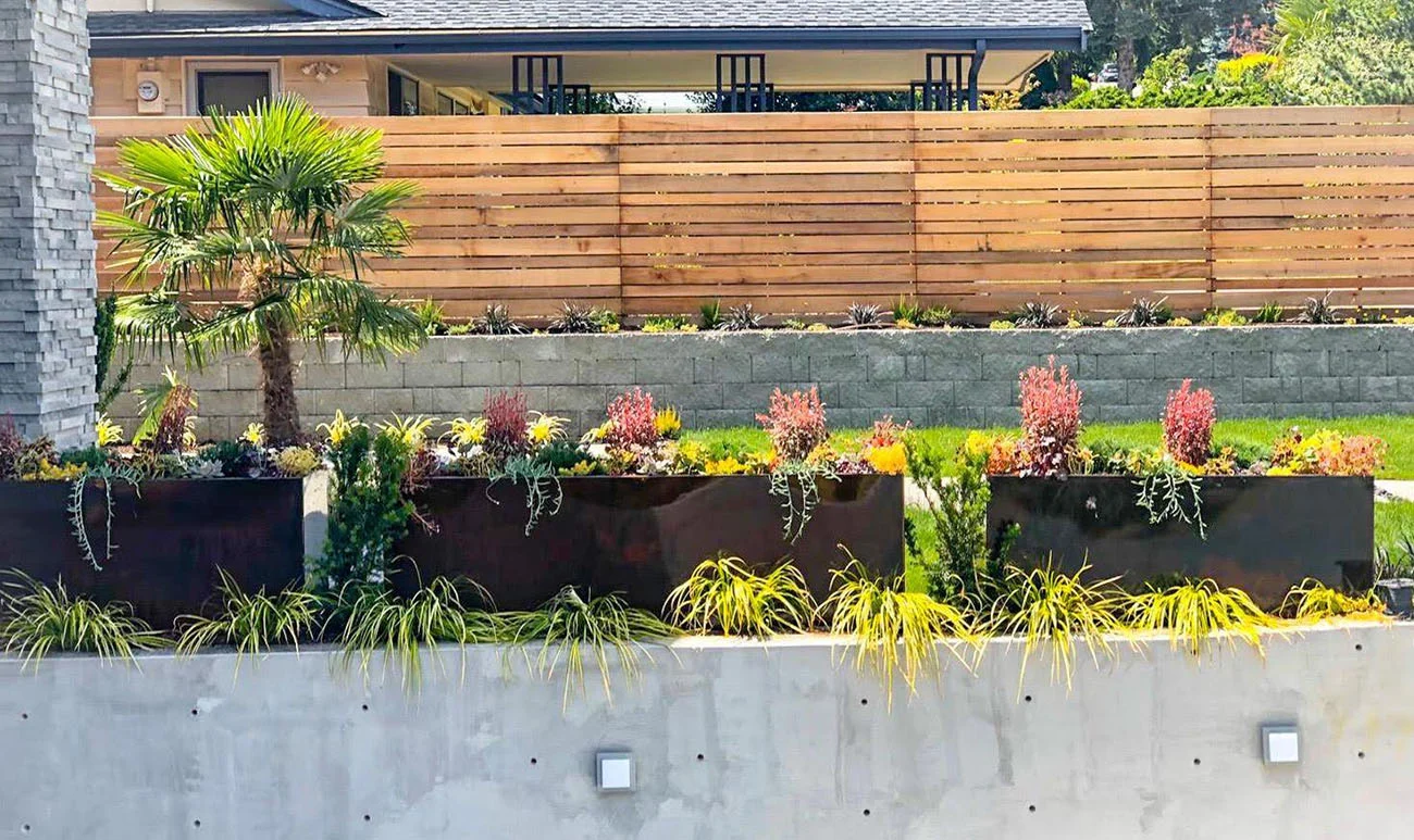 From the Rooted in Landscape garden portfolio