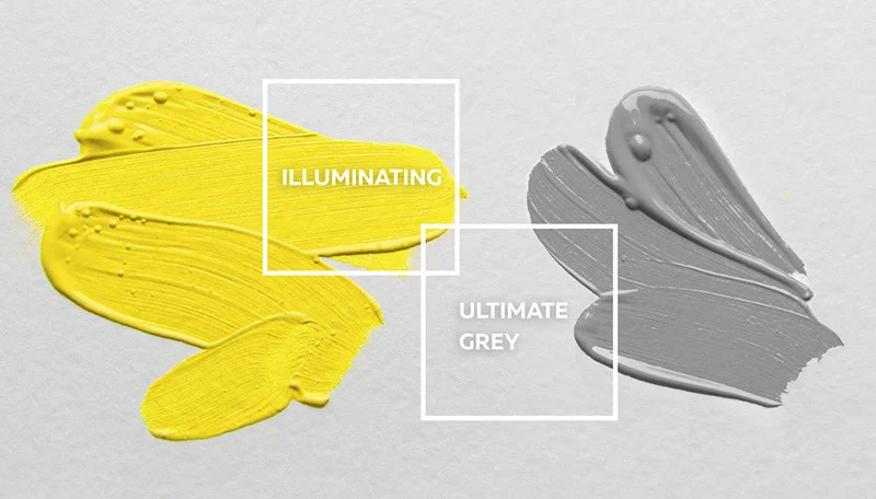 This Year, Dare To Dream In Color