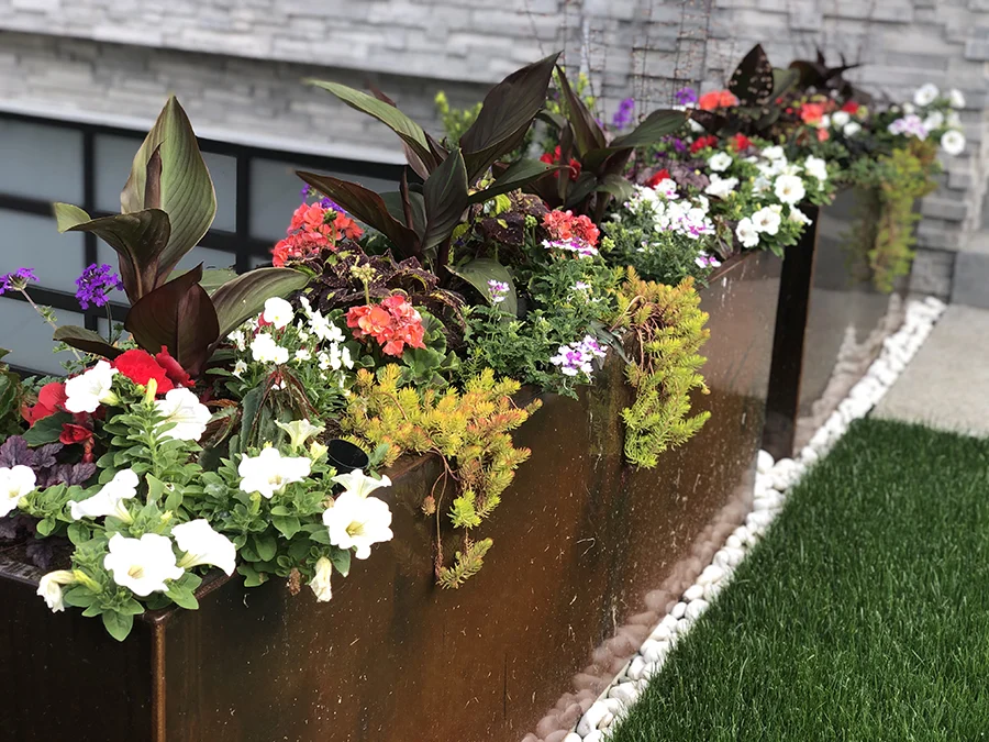 Containers: A Little Space For Nature To Call Home