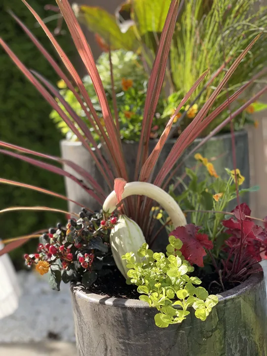 Container Design · Portfolio image 21