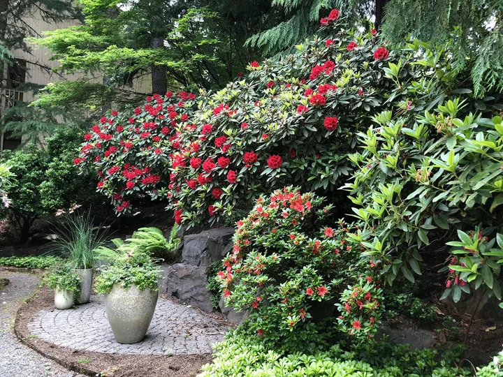 Landscape Design · Portfolio image 13