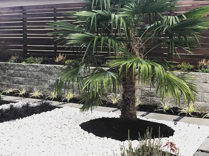Landscape Design · Portfolio image 3