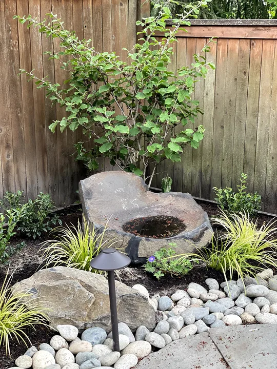 Landscape Design · Portfolio image 38