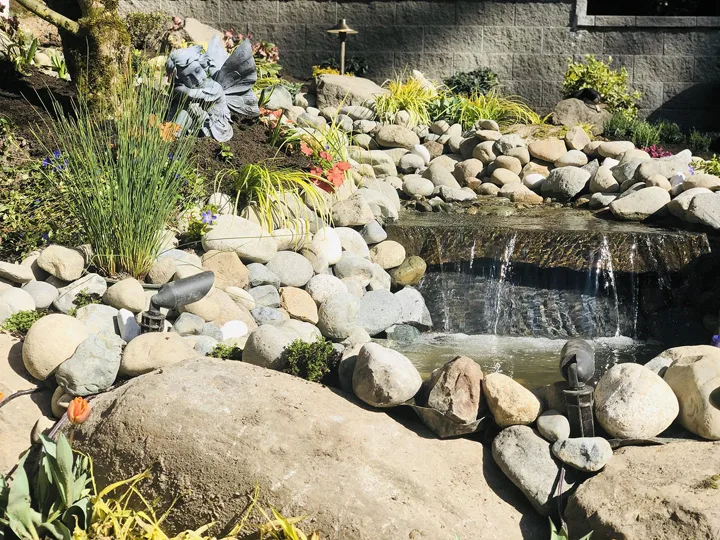Landscape Design · Portfolio image 12